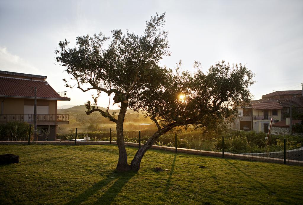 Casas De Vale De Lobo Villa Mirandela Exterior photo